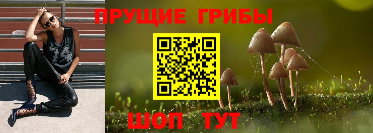 Псилоцибиновые грибы мухоморы  Галлюциногенные грибы GOLDEN TEACHER  Верхний Уфалей  Вход с VPN 